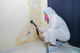 Best Environmental Consulting for Mold Prevention in Crane, TX